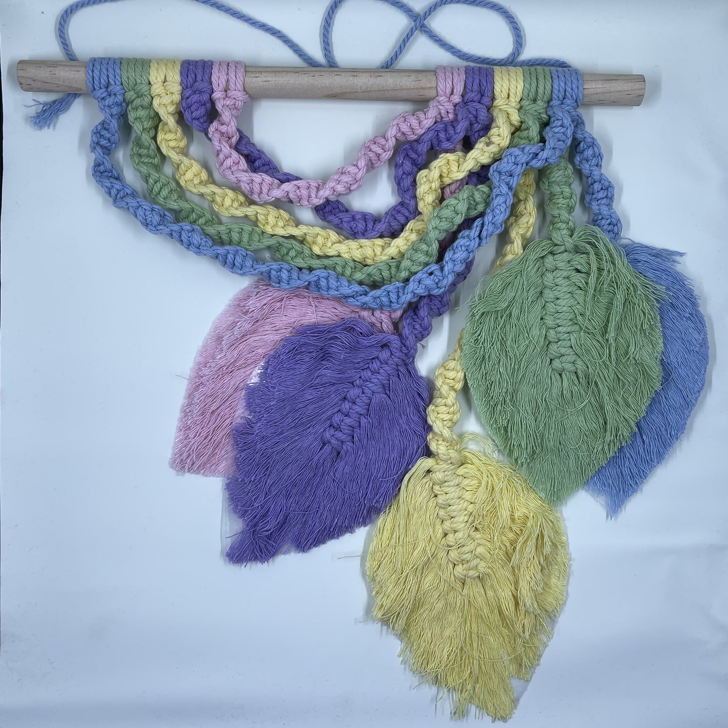 Macrame Rainbow/feather wall hanging