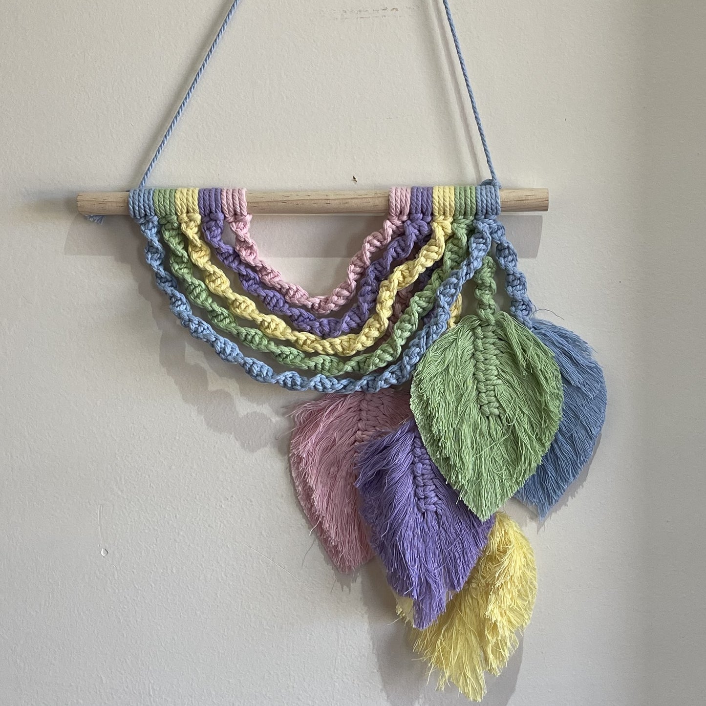 Macrame Rainbow/feather wall hanging